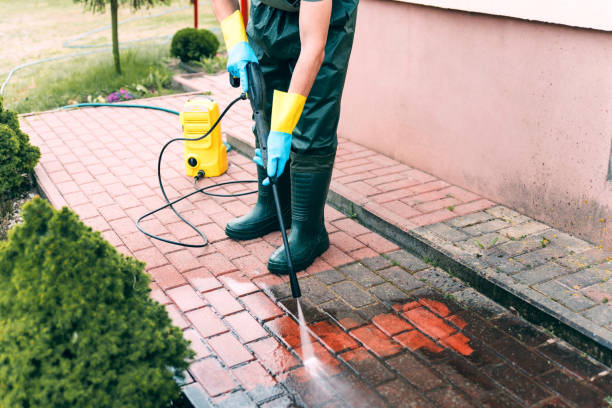 Best Commercial Pressure Washing  in New Albany, MS