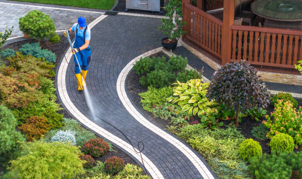 Best Deck Cleaning Services  in New Albany, MS