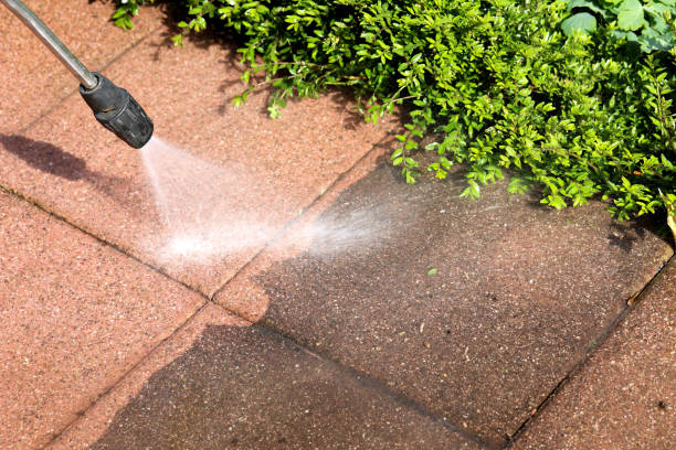 Best Commercial Building Pressure Washing  in New Albany, MS